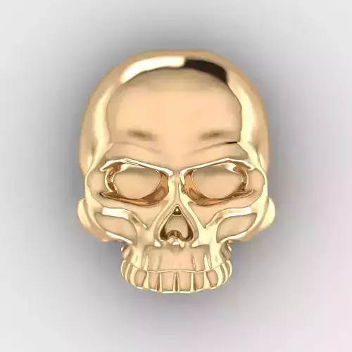 Skull 10 3D print model