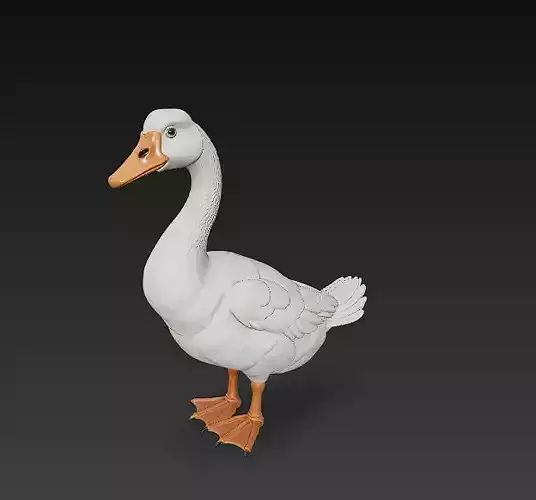 Duck White 3D Model Basic - Low Poly Simple 