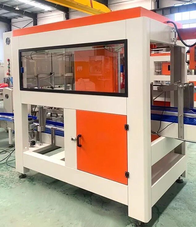 Robotic Grab Type Carton Packing Machine for Bottles and Cans 3D model_6