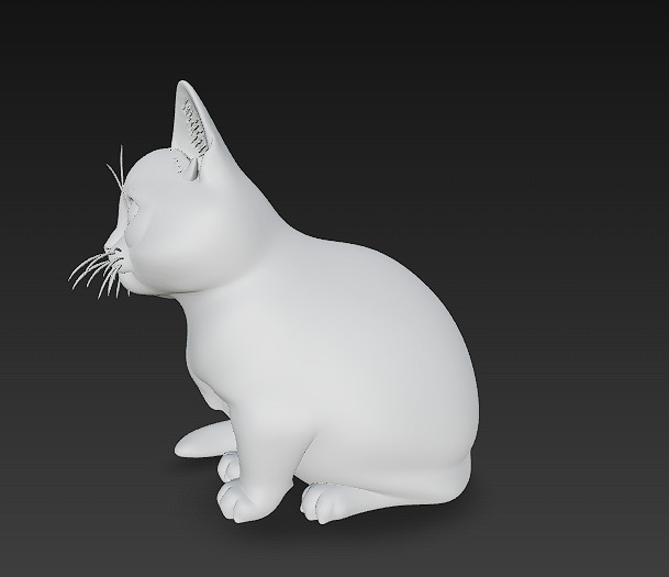 Cat Realistic 3D Model Basic - Low Poly Realistic Low-poly 3D model_10