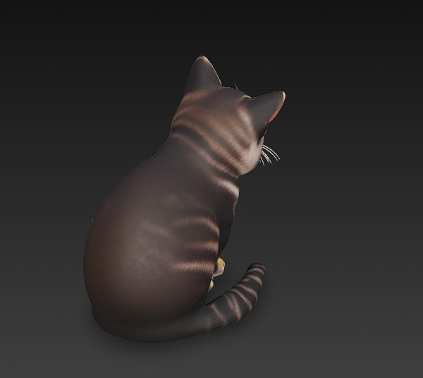 Cat Realistic 3D Model Basic - Low Poly Realistic Low-poly 3D model_6