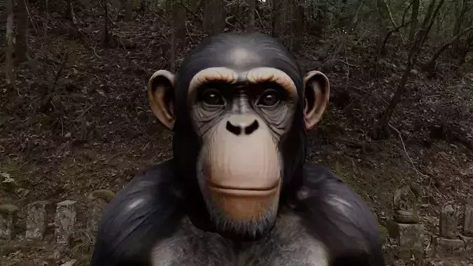Chimpanzee Character - Realistic - Rigged - Animated for Games Low-poly 3D model