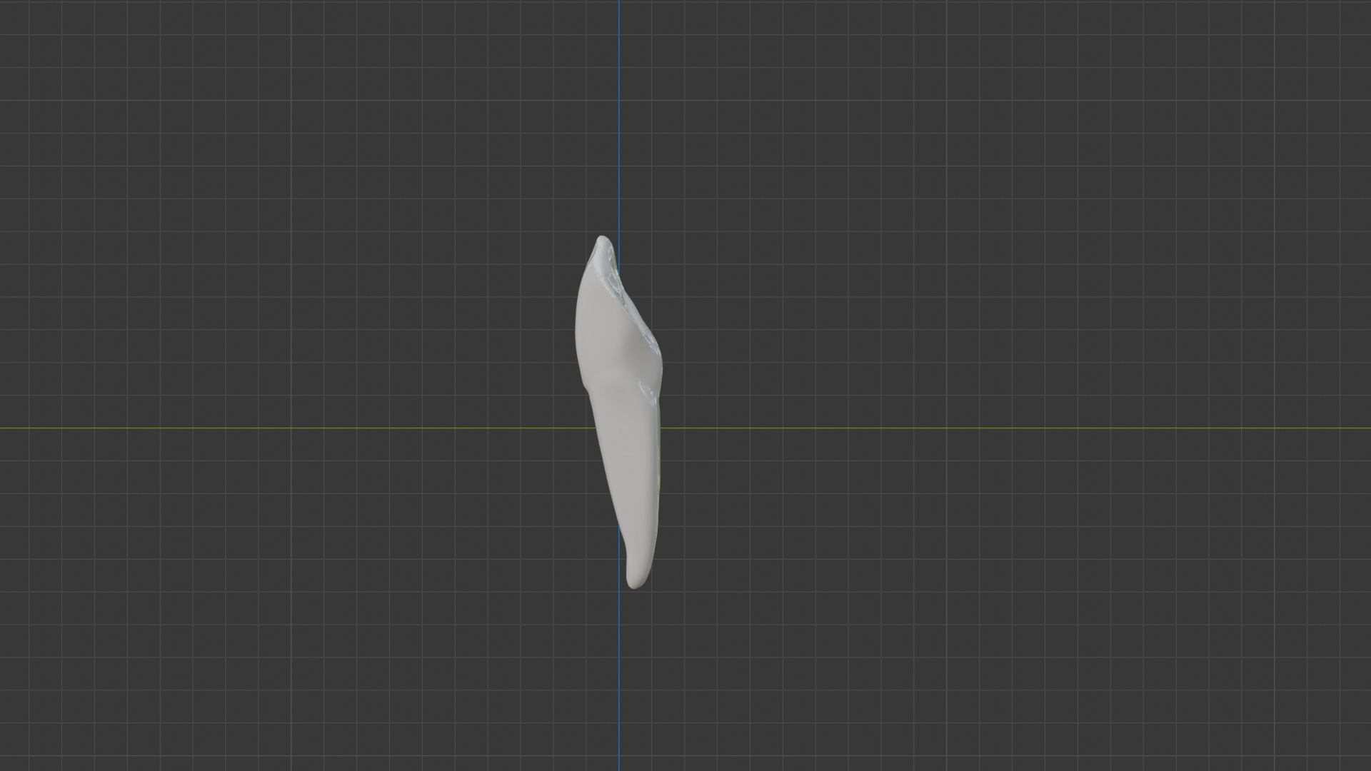 Canine Teeth v3 3D model_3