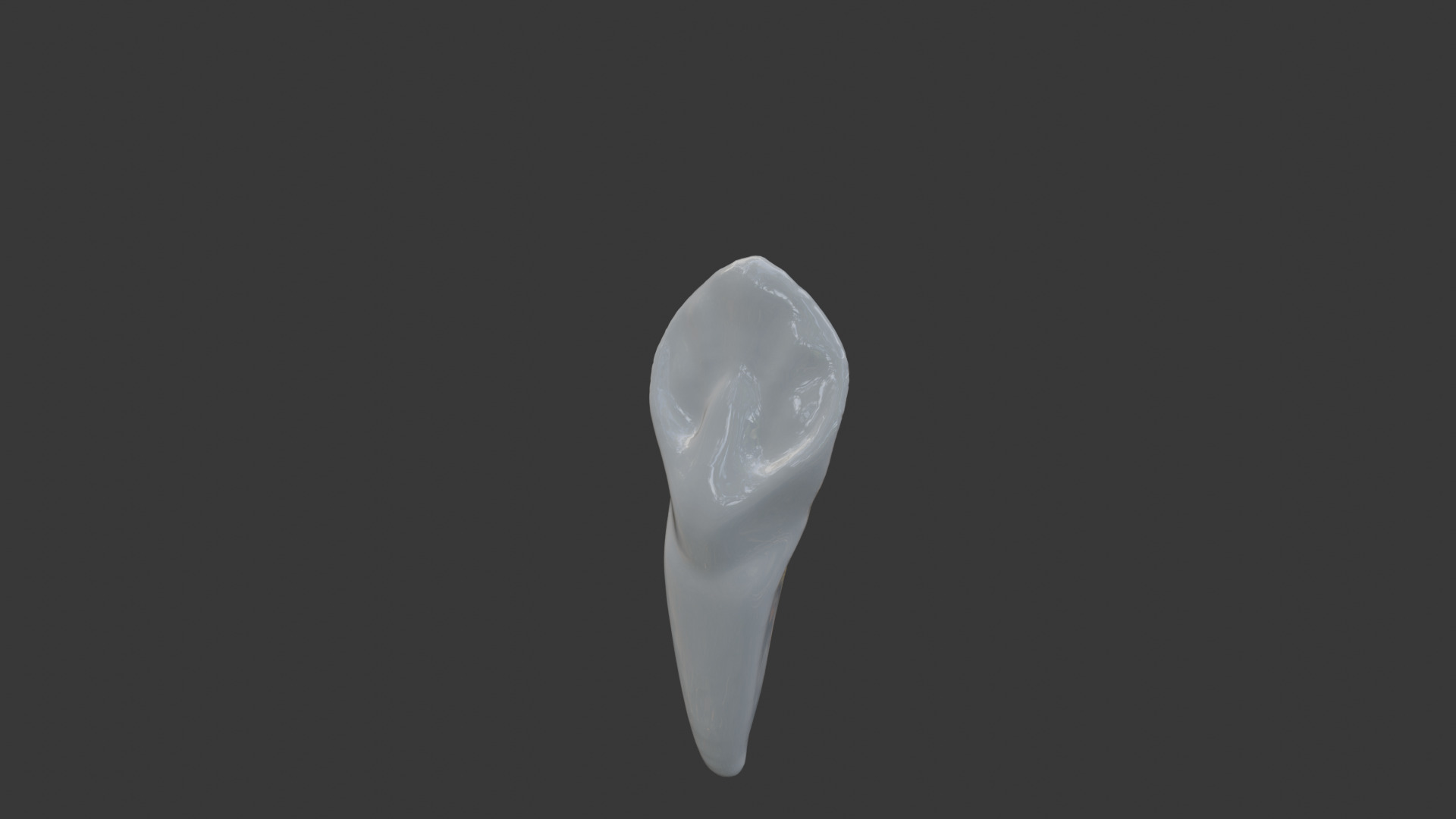 Canine Teeth v3 3D model_4