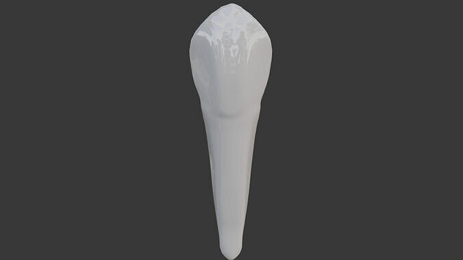 Canine Teeth v3 3D model