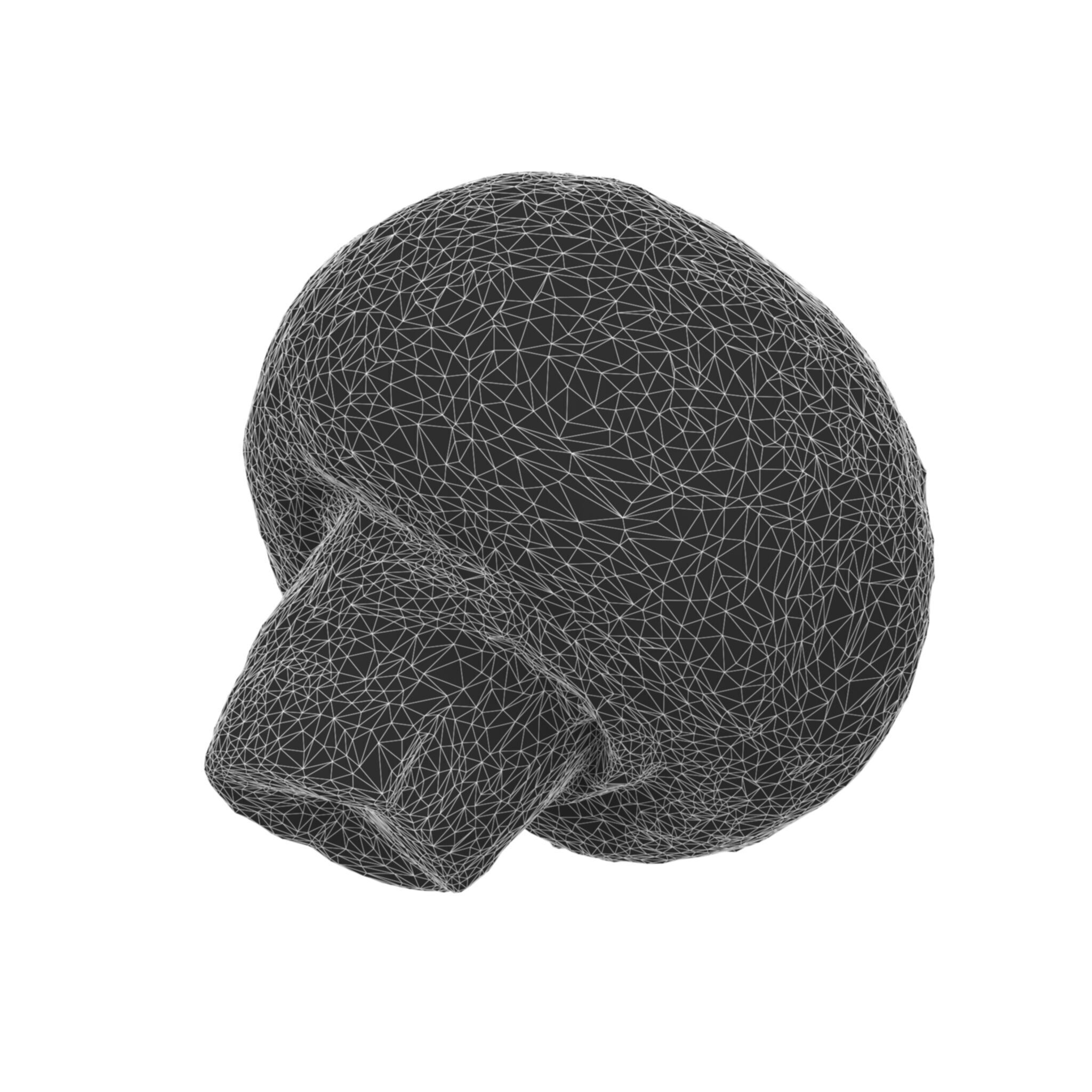 Champignon Mushroom Low-poly 3D model_5