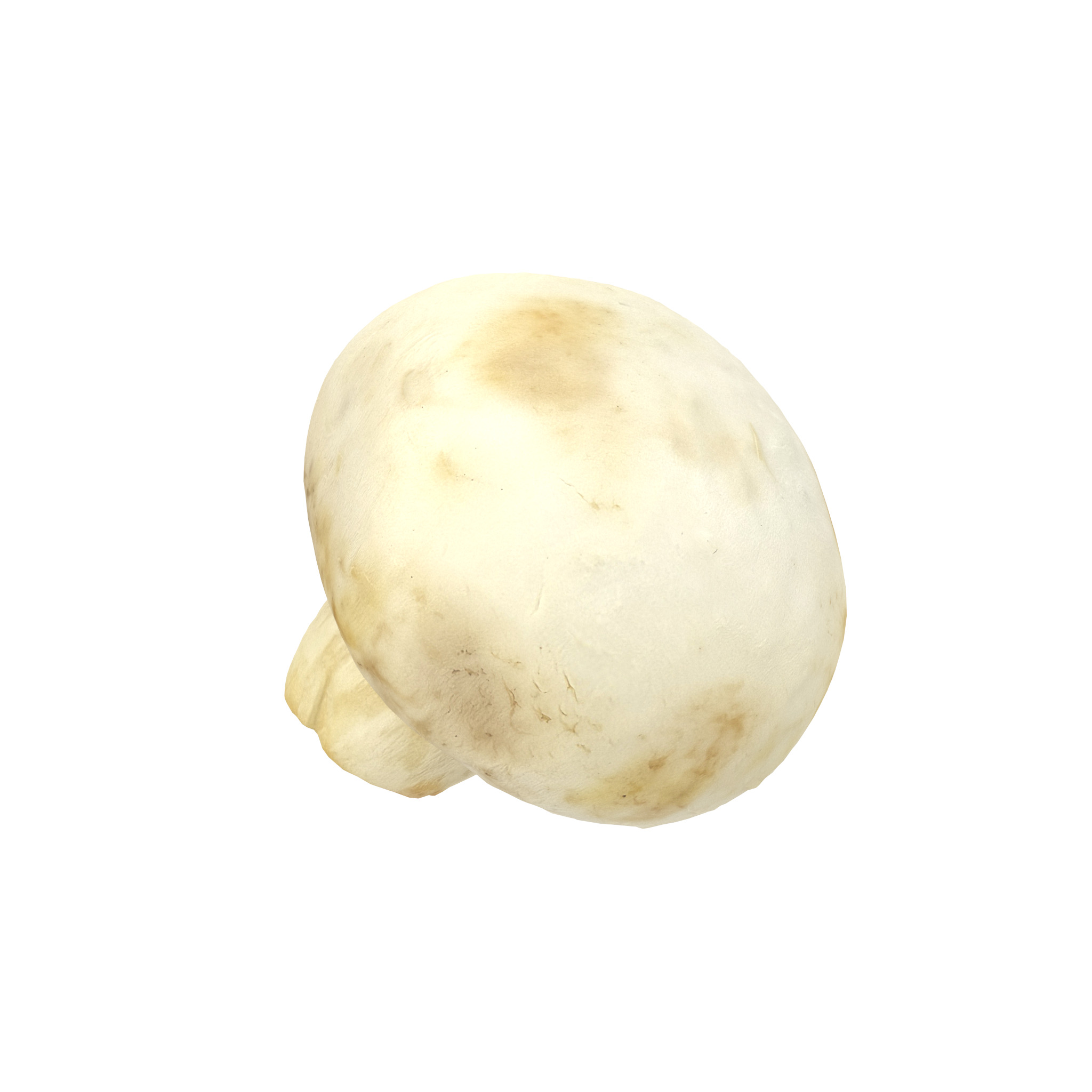 Champignon Mushroom Low-poly 3D model_2
