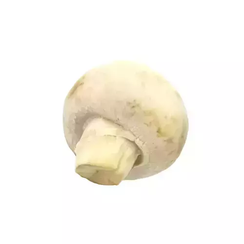 Champignon Mushroom Low-poly 3D model