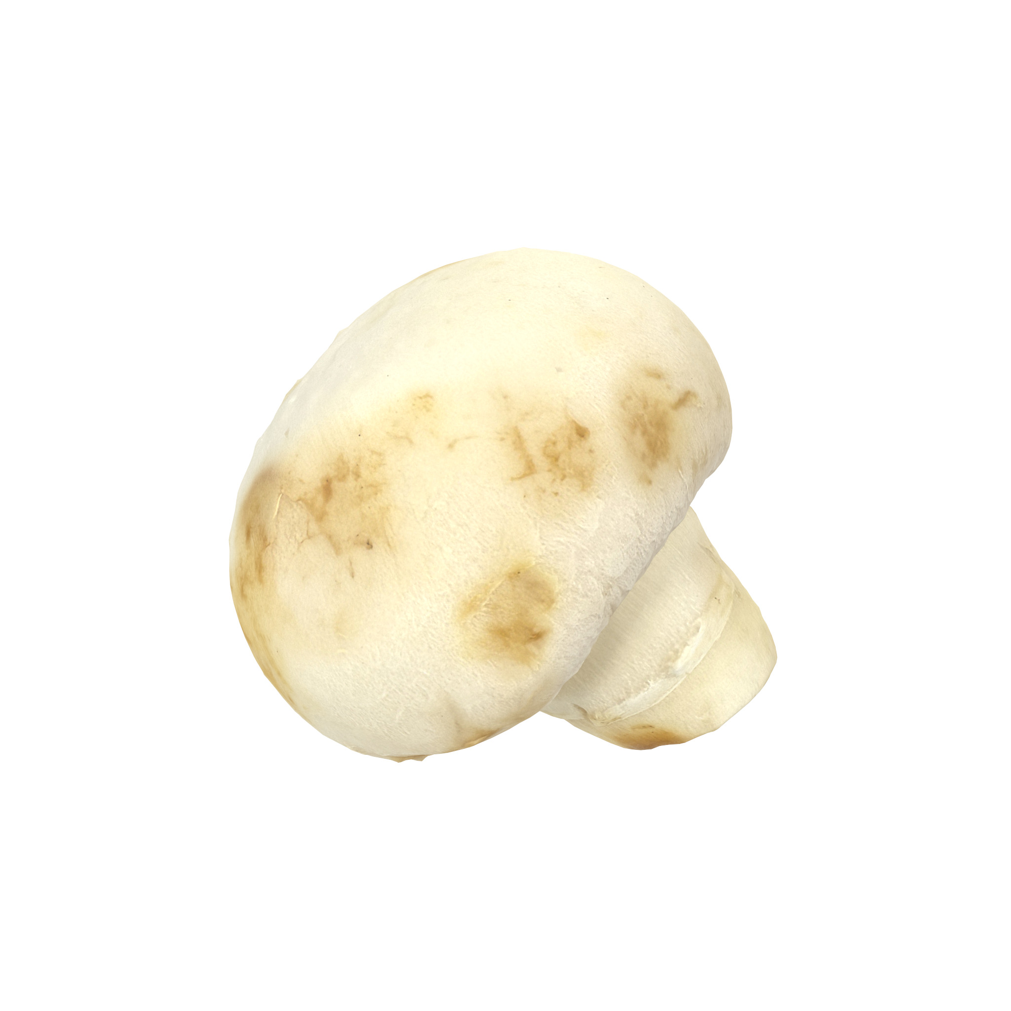 Champignon Mushroom Low-poly 3D model_3