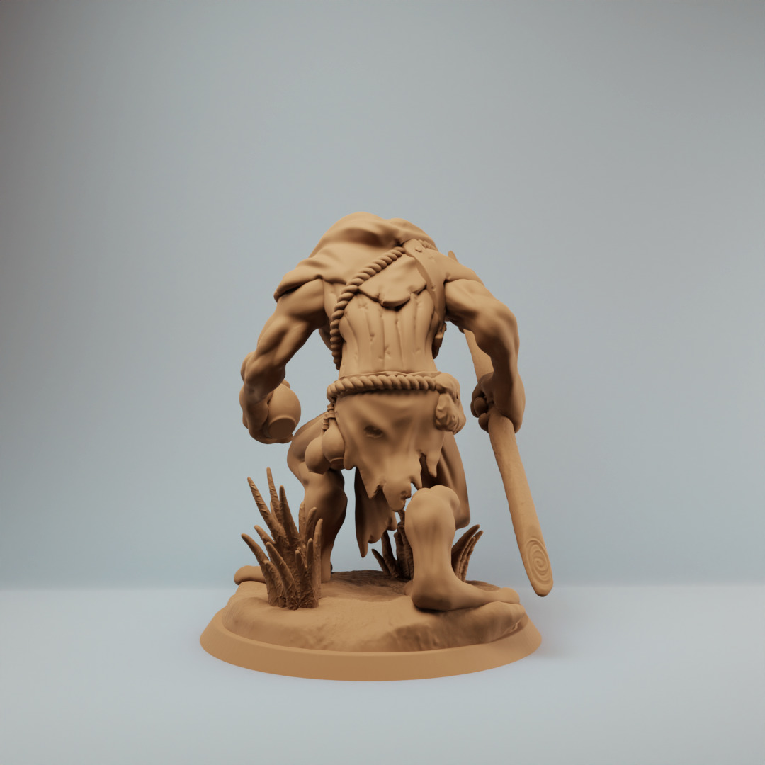 Bullywug frog people warrior with spear 3D print model_3