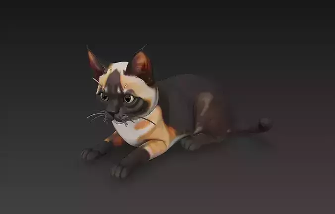 Cat Realistic 3D Model- Low Poly Realistic