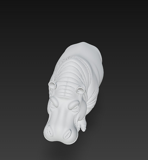 Hippopotamus Realistic 3D Model- Low Poly Realistic Low-poly 3D model_12