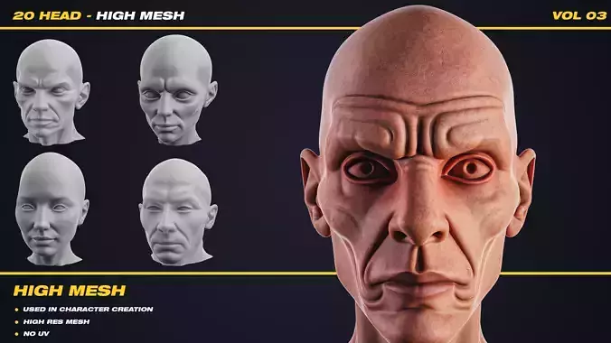20 Head - High Mesh - Vol 03