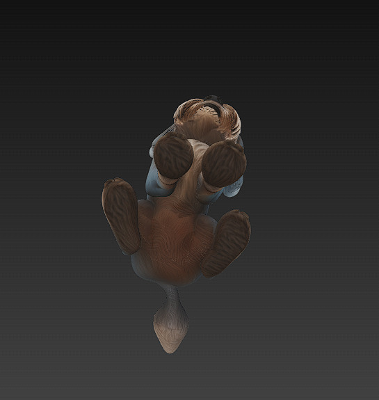 Dog Realistic 3D Model- Low Poly Realistic  Low-poly 3D model_9