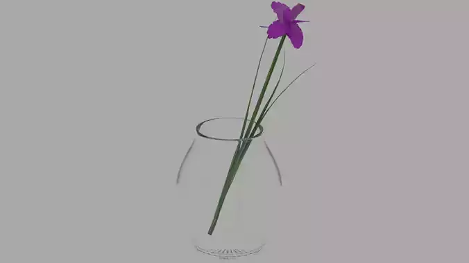 Decorative Glass Vase with Rose