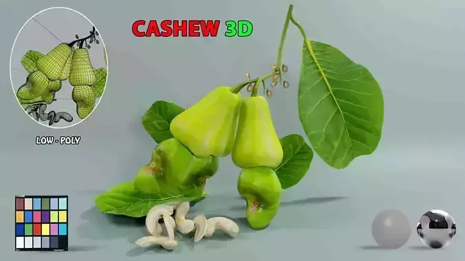 Green Cashew 3d Low-poly 3D model
