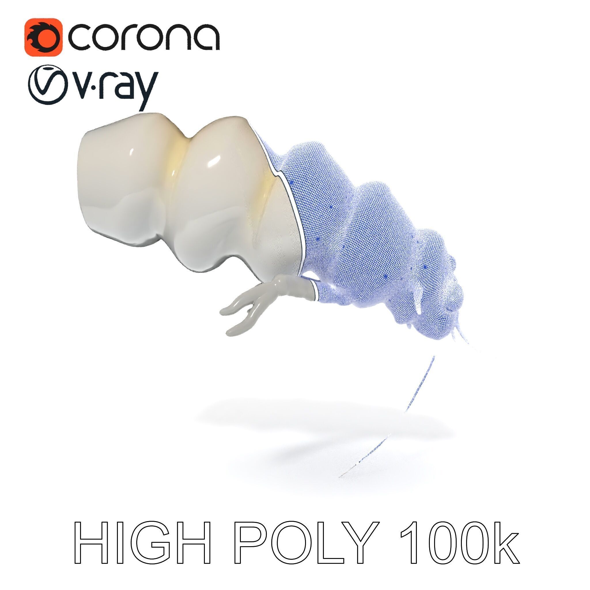 Transparent Larva Model Pack Low-poly 3D model_10