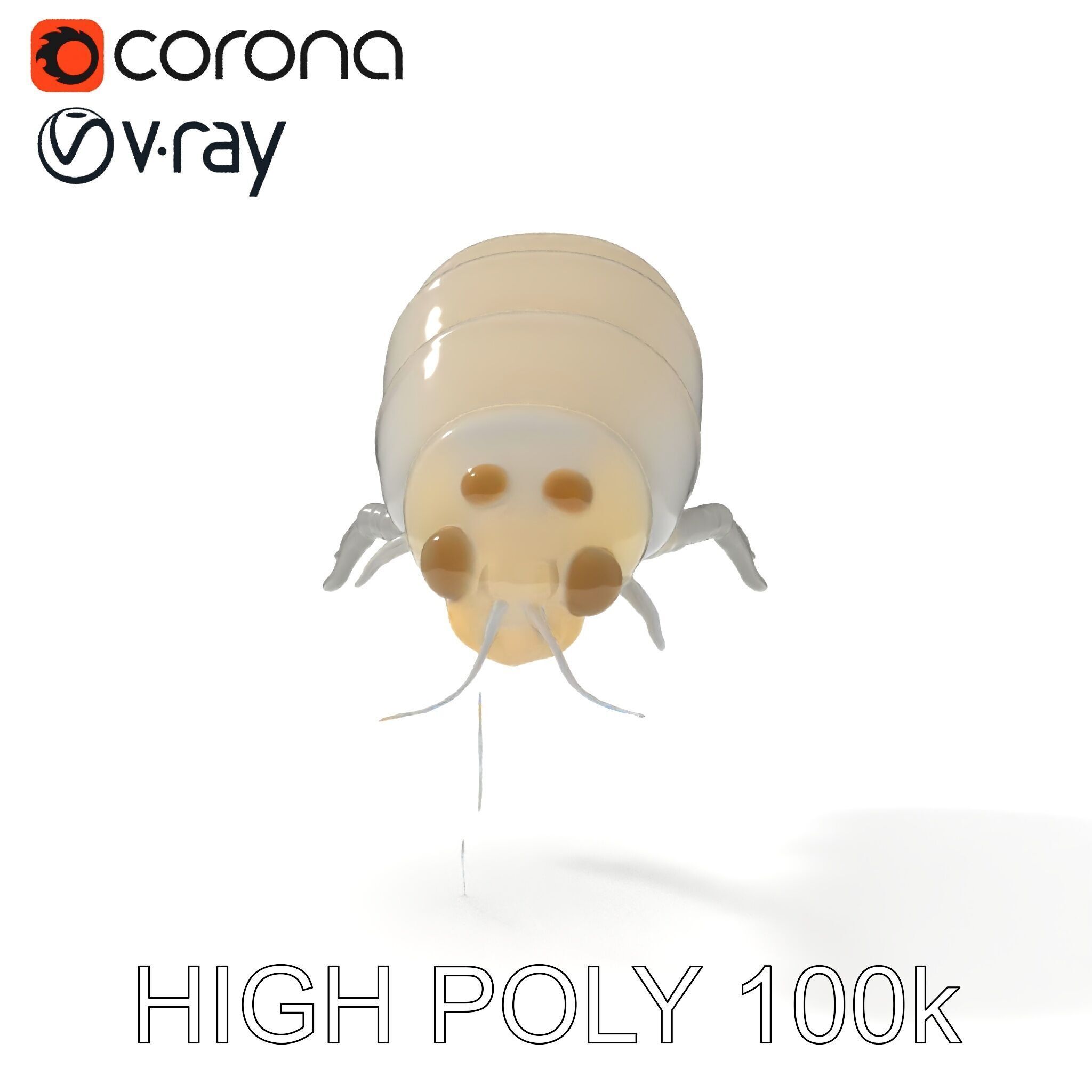 Transparent Larva Model Pack Low-poly 3D model_26