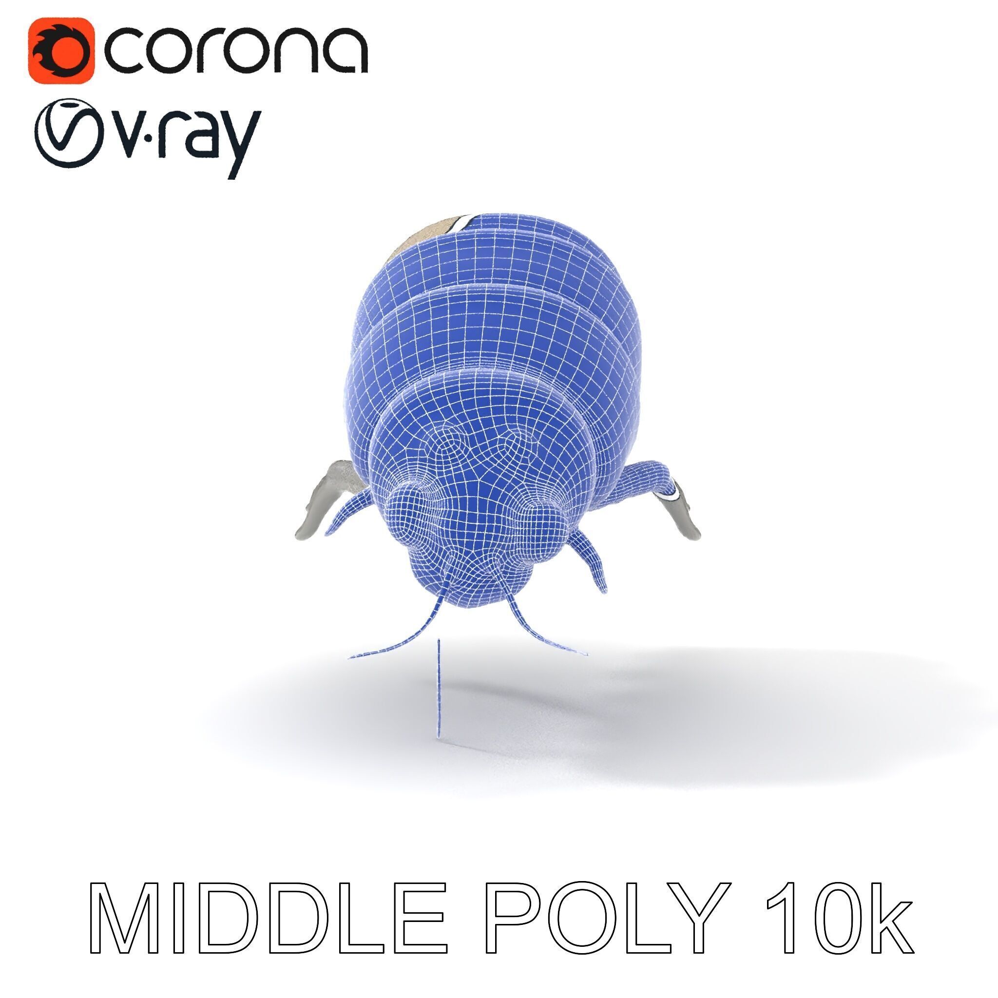 Transparent Larva Model Pack Low-poly 3D model_11