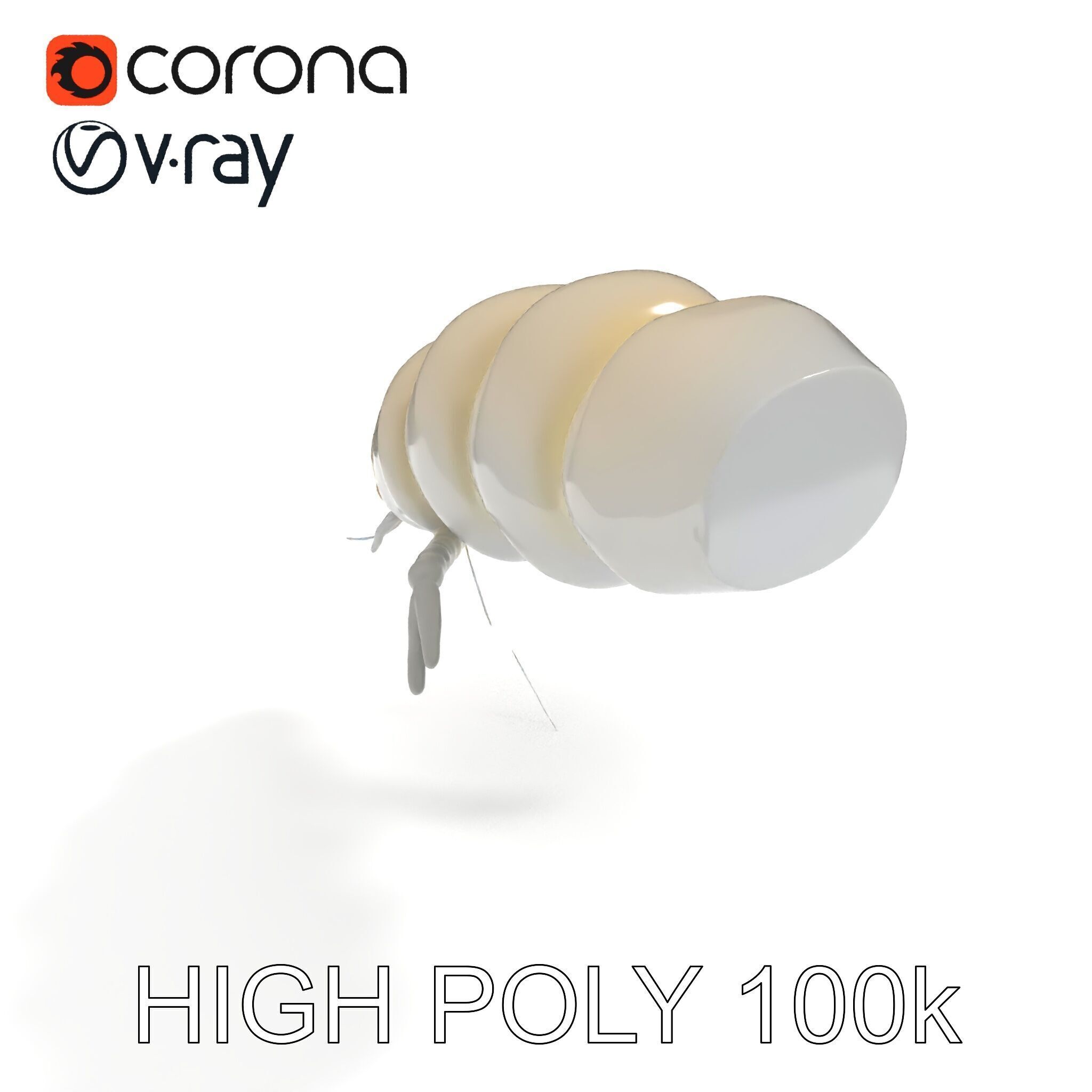 Transparent Larva Model Pack Low-poly 3D model_16