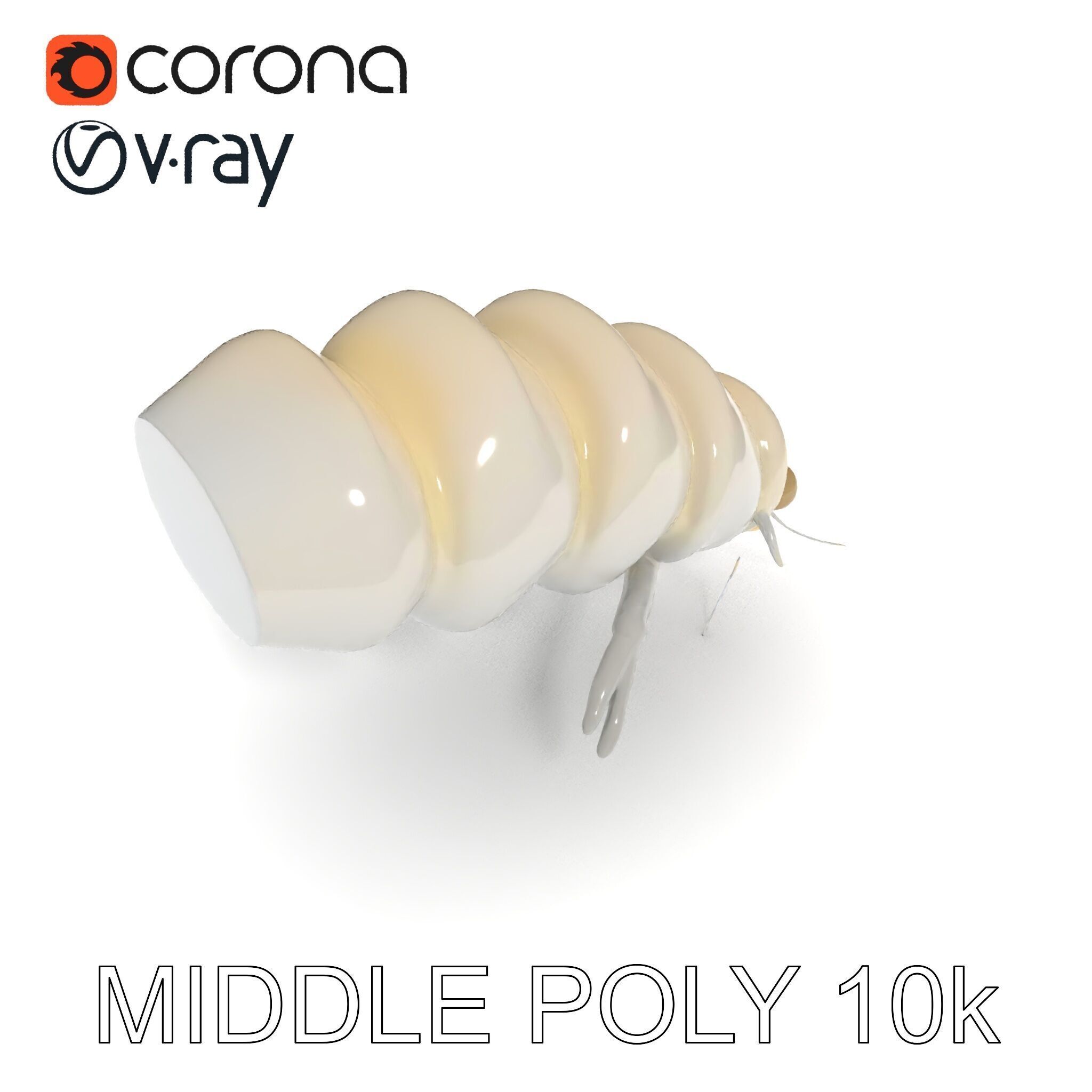 Transparent Larva Model Pack Low-poly 3D model_6
