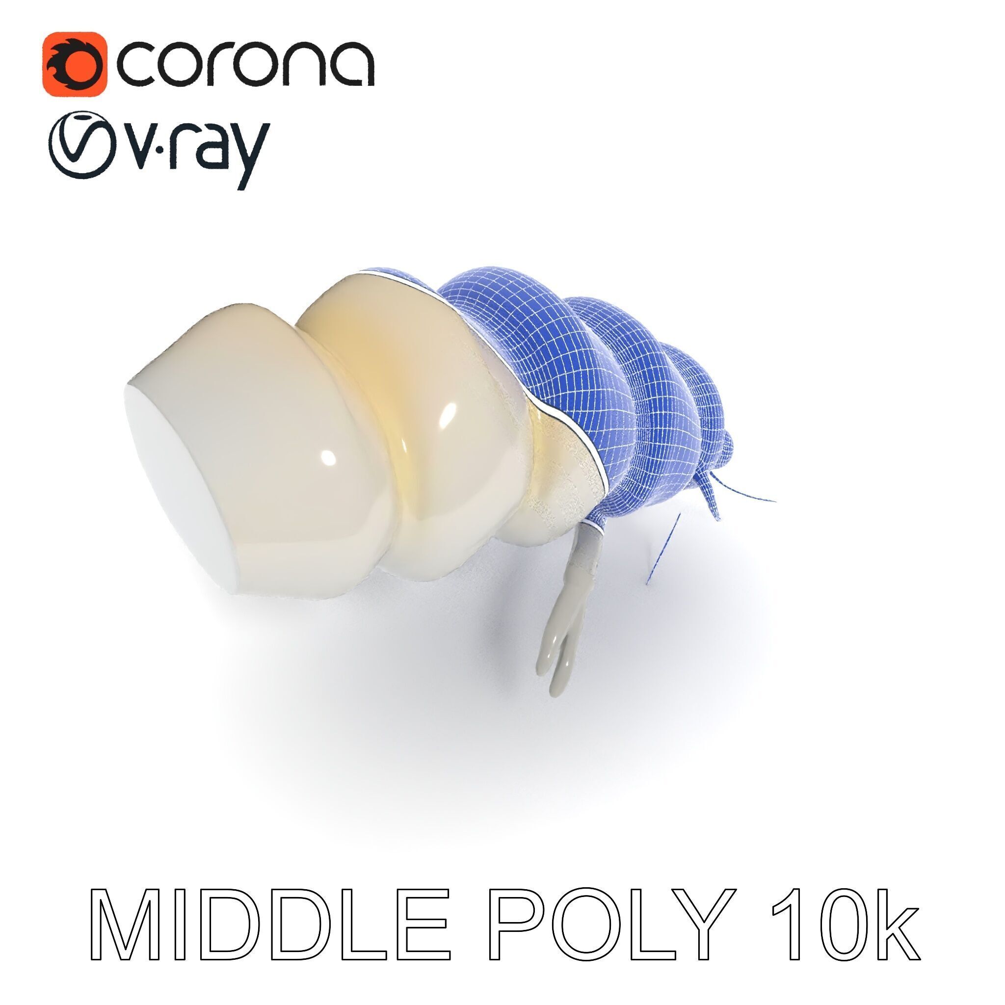 Transparent Larva Model Pack Low-poly 3D model_33
