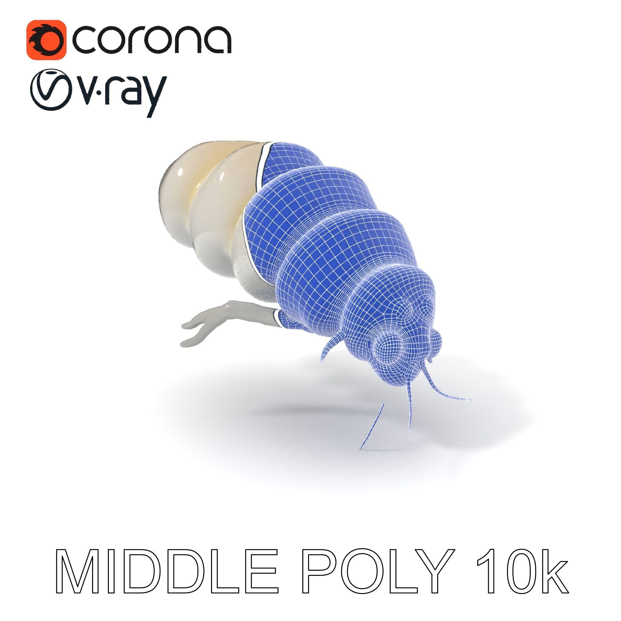 Transparent Larva Model Pack Low-poly 3D model_24