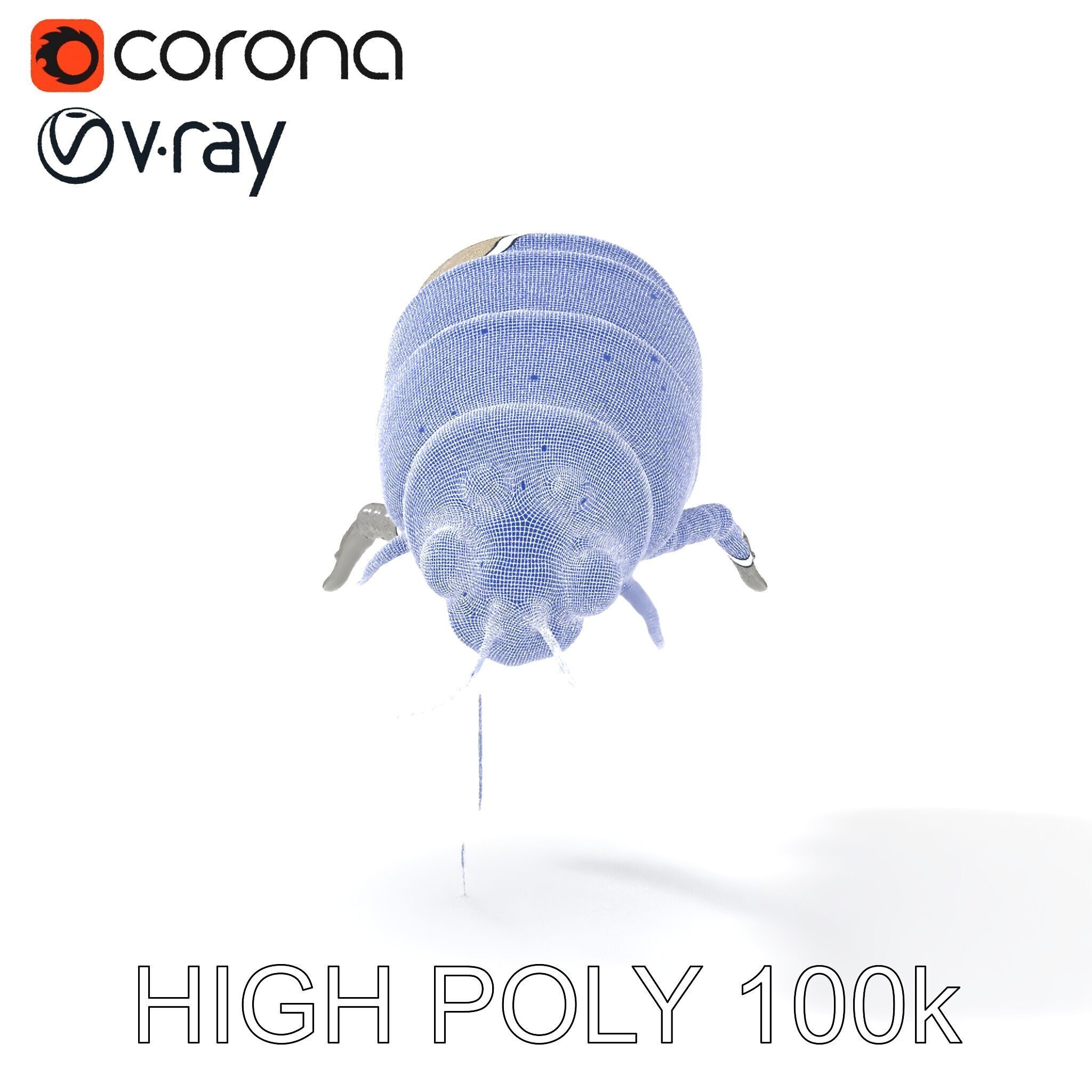 Transparent Larva Model Pack Low-poly 3D model_21