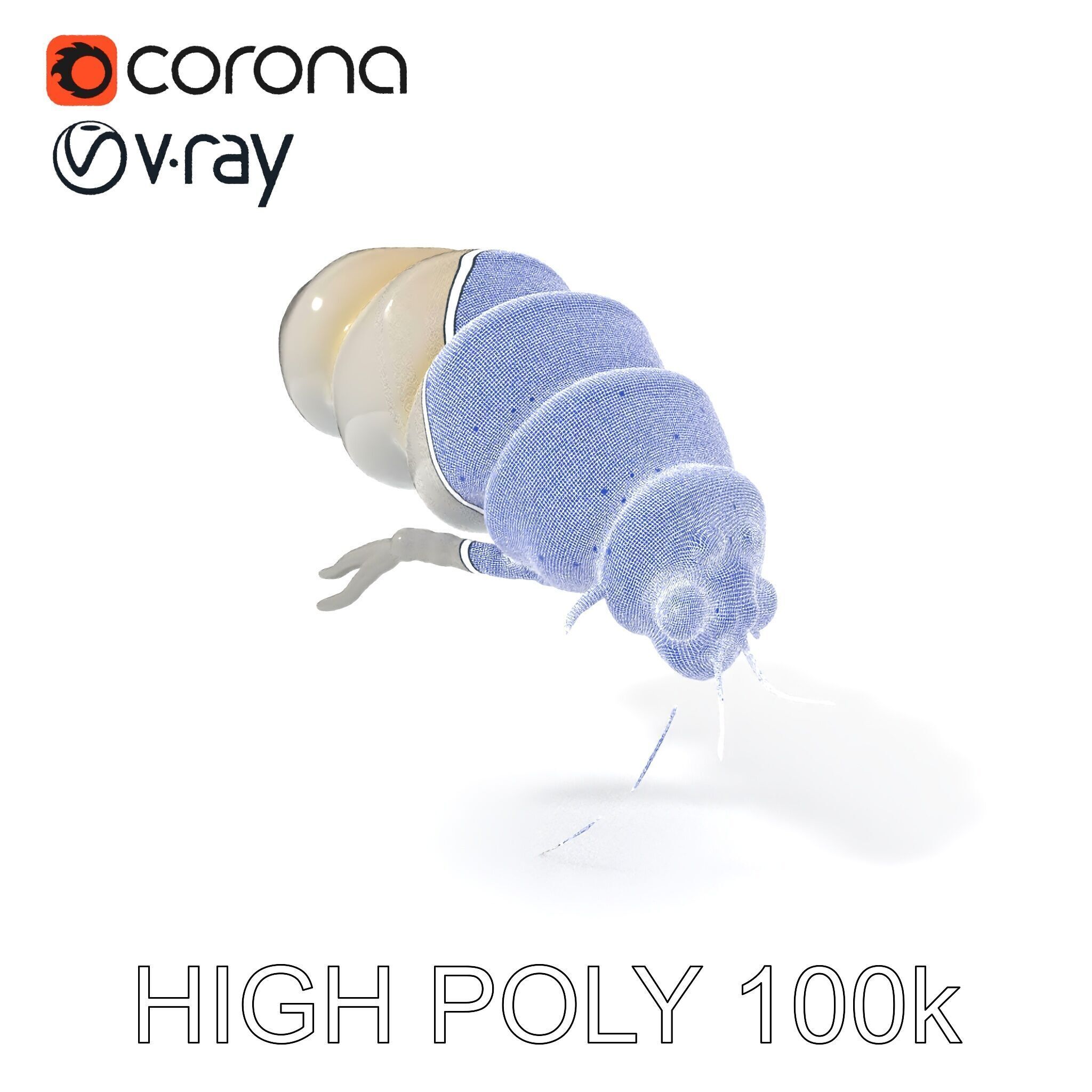 Transparent Larva Model Pack Low-poly 3D model_4