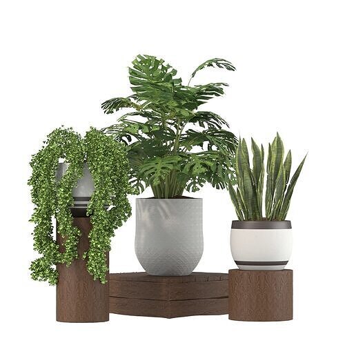 Plant Set 02 3D model