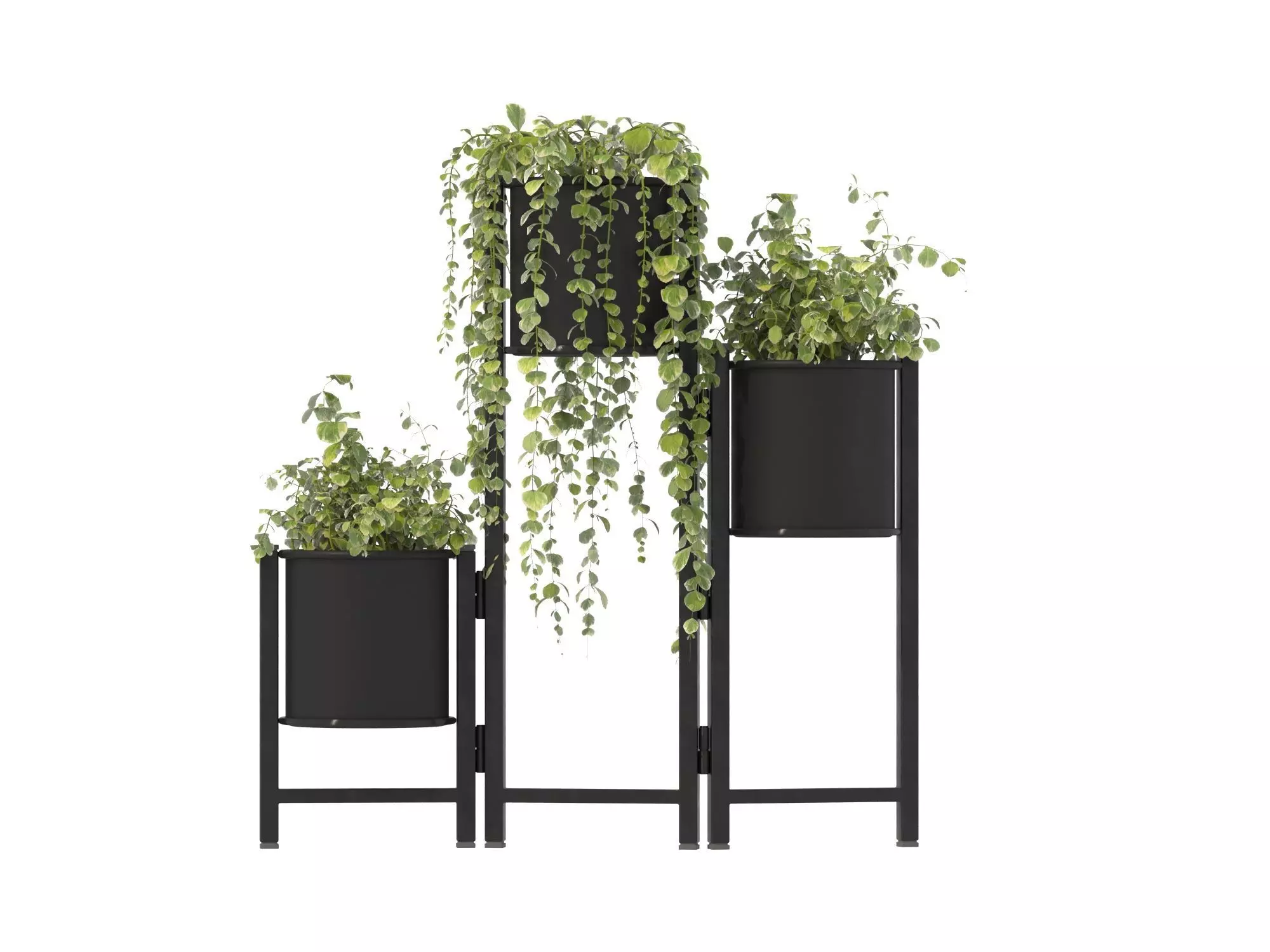 Plant Set 03 3D model