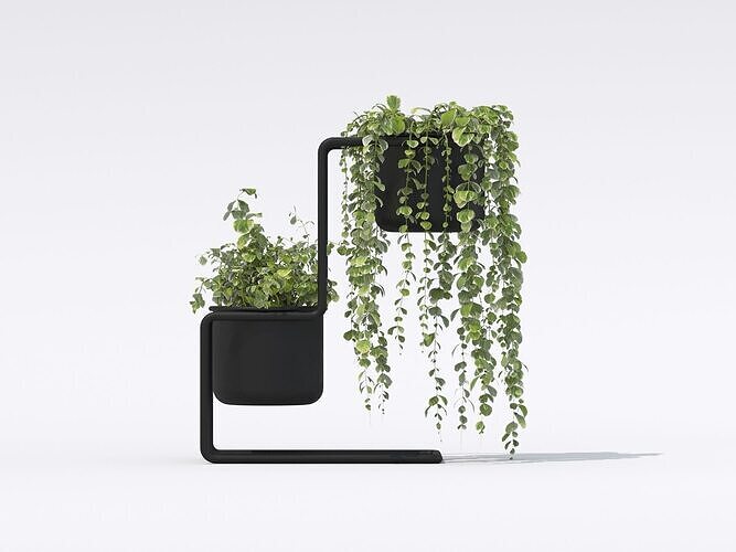 Plant Set 04 3D model