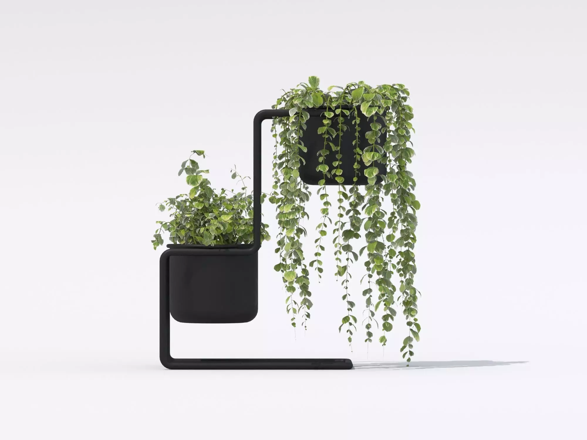 Plant Set 04 3D model