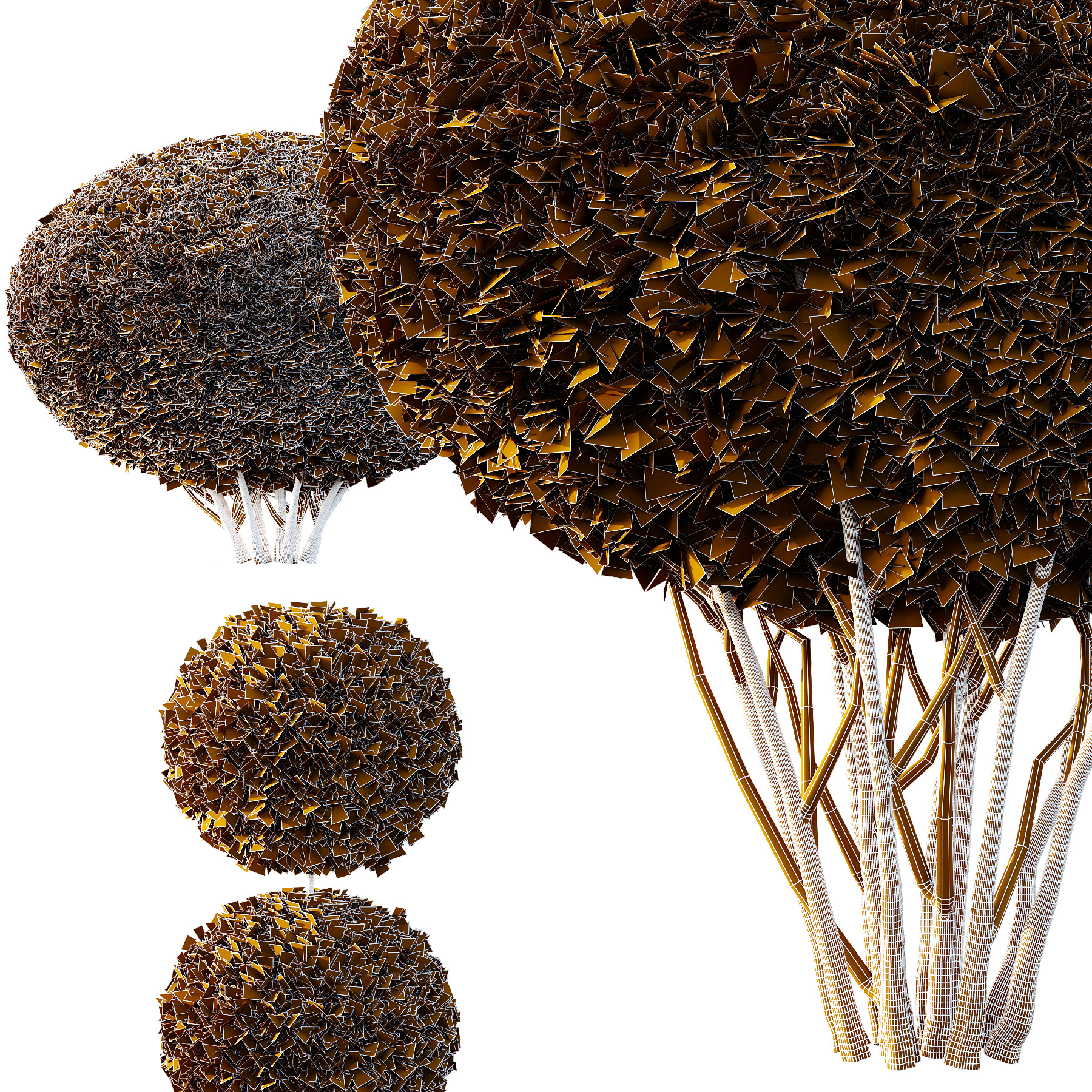 Pinus Mugo Bush003 3D model_5