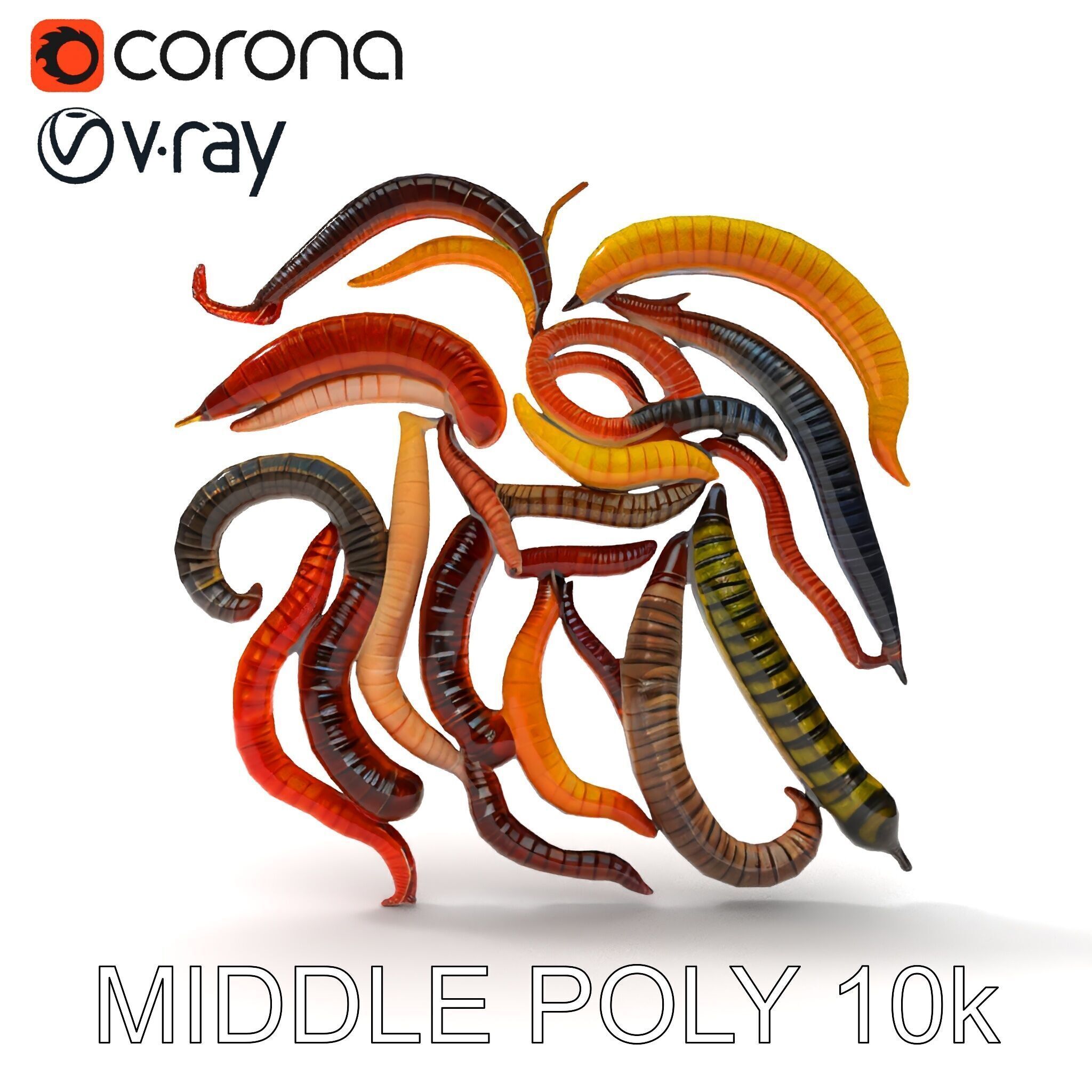 Realistic Centipede Model Pack Low-poly 3D model_14
