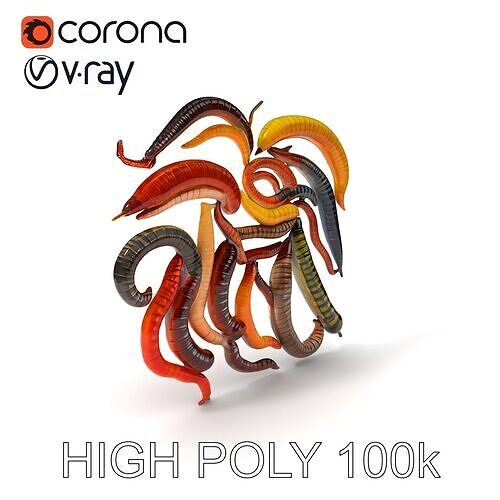 Realistic Centipede Model Pack Low-poly 3D model