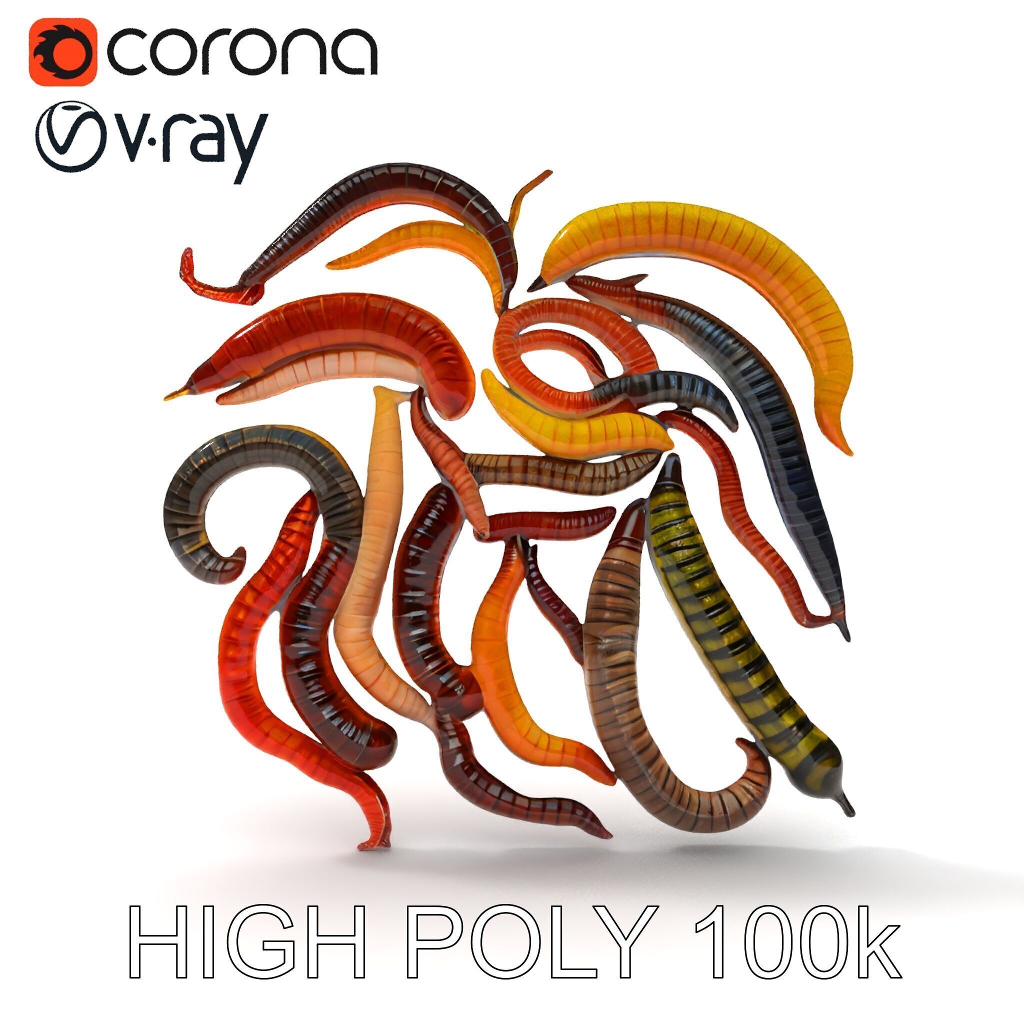 Realistic Centipede Model Pack Low-poly 3D model_21