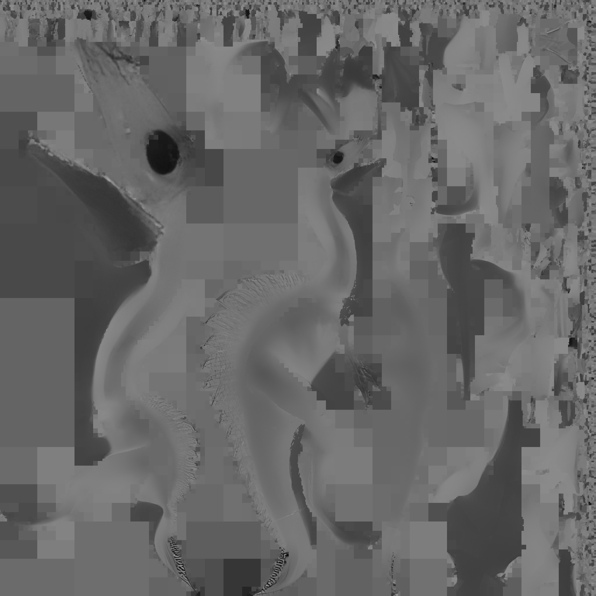 Dinasaur 3D Model  Low-poly 3D model_8