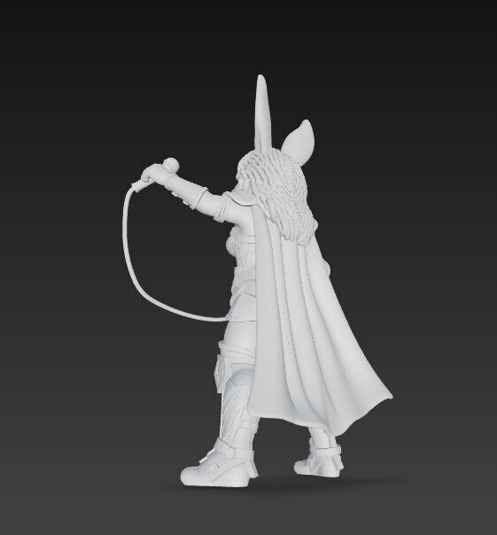 Rock Star from Wonderland Bunny Wonder Woman 3D Print Model 3D model_13