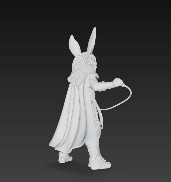 Rock Star from Wonderland Bunny Wonder Woman 3D Print Model 3D model_10