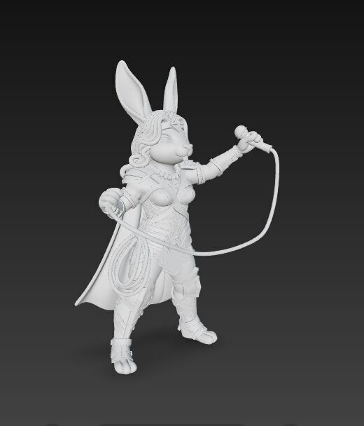 Rock Star from Wonderland Bunny Wonder Woman 3D Print Model 3D model_8