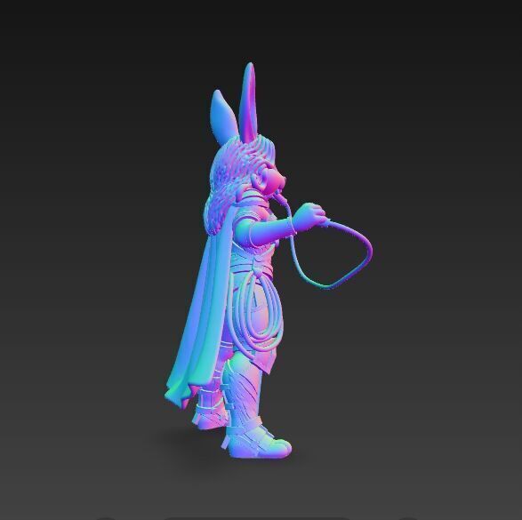 Rock Star from Wonderland Bunny Wonder Woman 3D Print Model 3D model_1