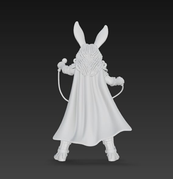 Rock Star from Wonderland Bunny Wonder Woman 3D Print Model 3D model_12