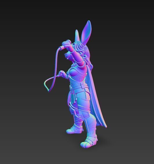 Rock Star from Wonderland Bunny Wonder Woman 3D Print Model 3D model_4