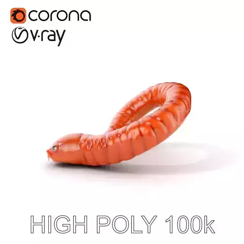 Realistic Worm Model Pack for Animation and Games