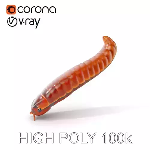 Realistic Millipede Model Pack for Animations and Games Low-poly 3D model