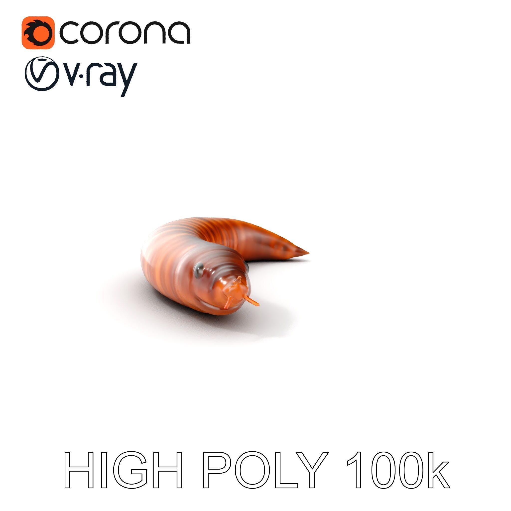 Realistic Millipede Model Pack for Rendering and Games Low-poly 3D model_12