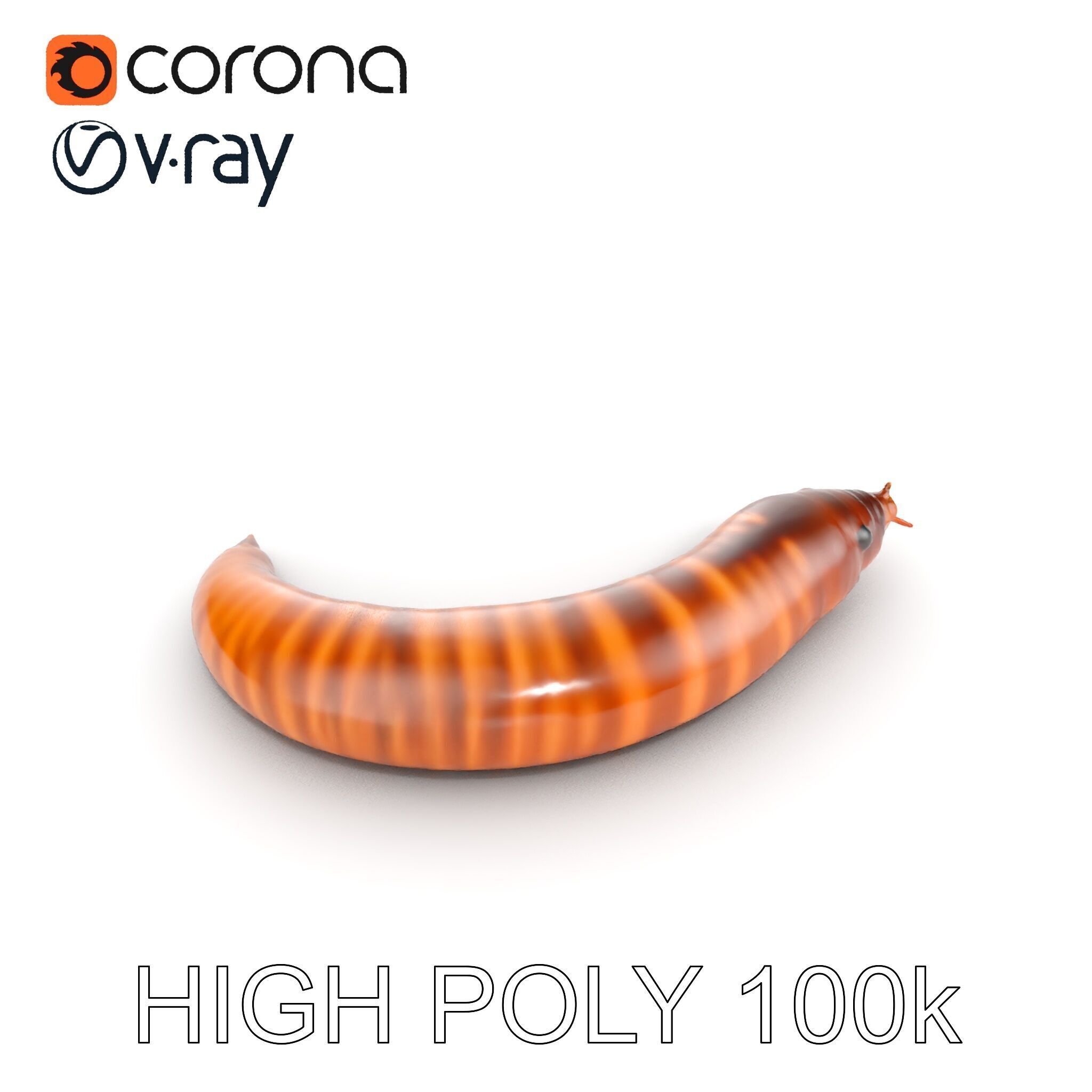 Realistic Millipede Model Pack for Rendering and Games Low-poly 3D model_17