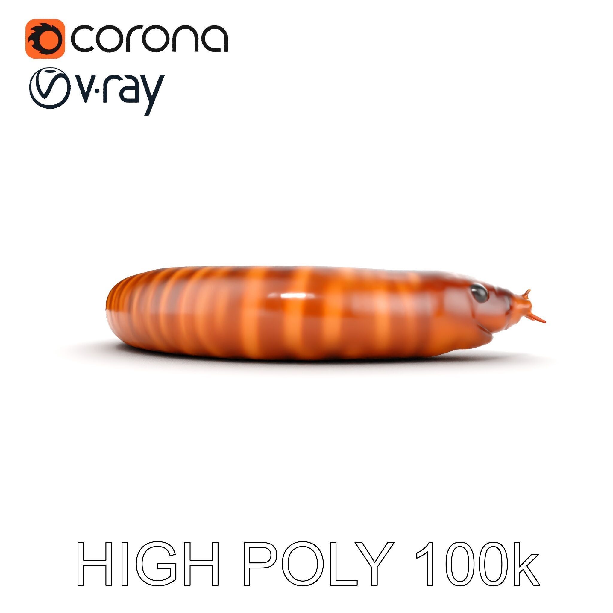 Realistic Millipede Model Pack for Rendering and Games Low-poly 3D model_9