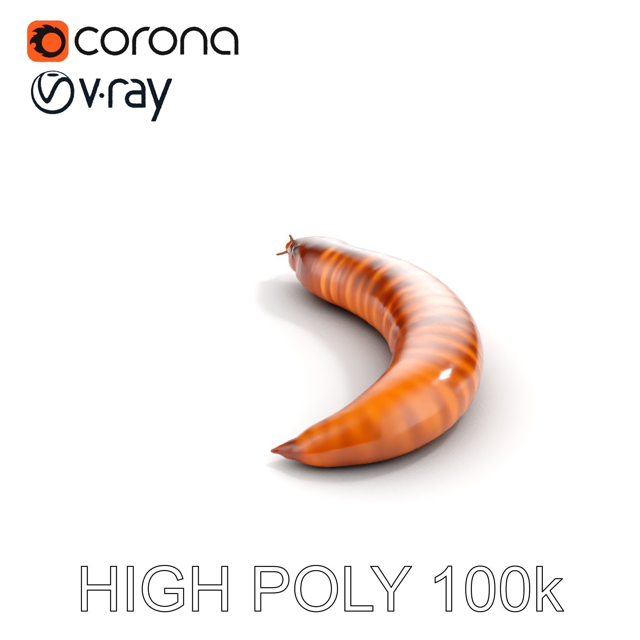 Realistic Millipede Model Pack for Rendering and Games Low-poly 3D model_11